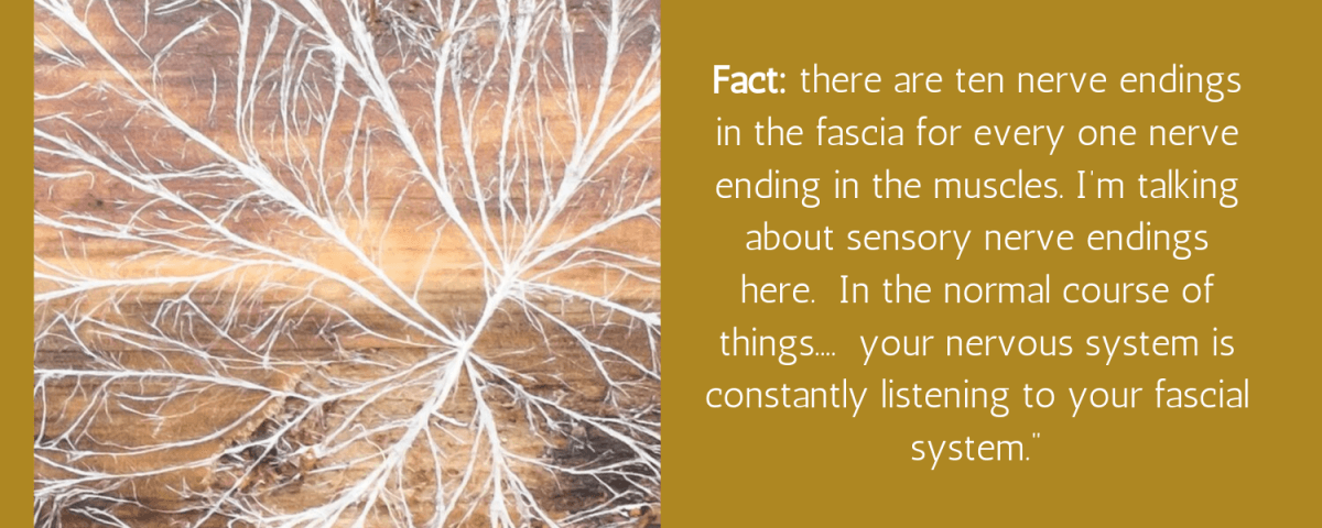 Fascia Yoga Workshop