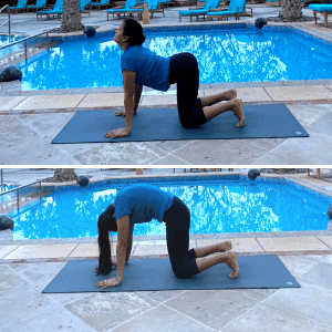 31 Day Yoga Sadhana