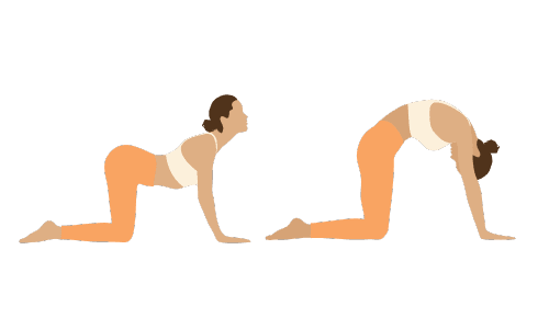 Cat-Cow Pose