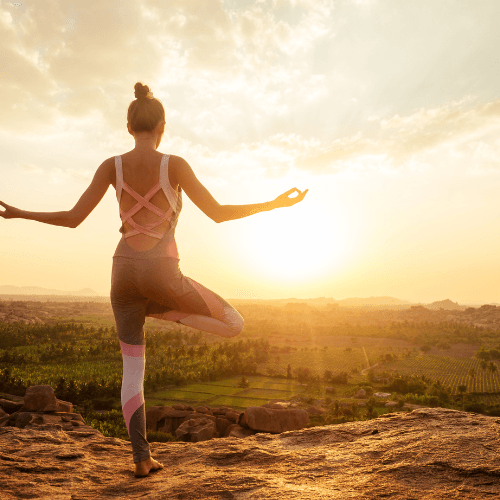 Traditional Yoga Texts